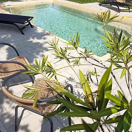 Tarnoca Kuria Bed & Breakfast