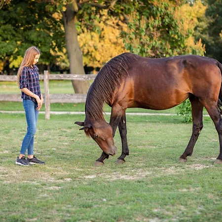 Tarnoca Kuria לינה וארוחת בוקר