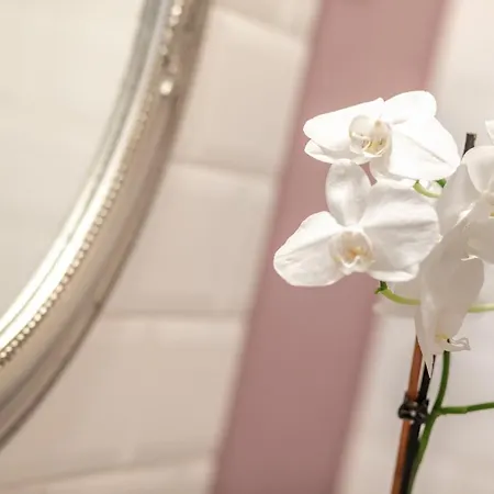 Bed and breakfast Tarnóca Kúria