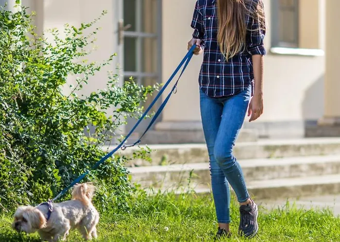 Couette-café Tarnoca Kuria Soponya