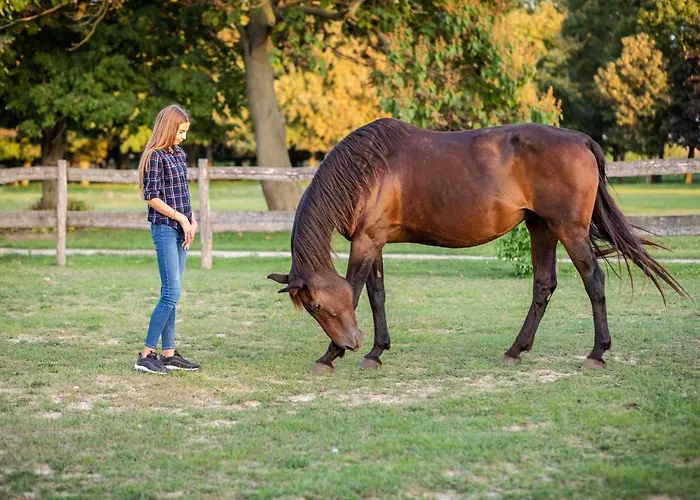 Tarnoca Kuria לינה וארוחת בוקר