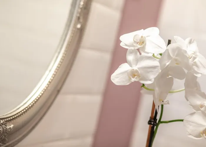 Couette-café Tarnoca Kuria